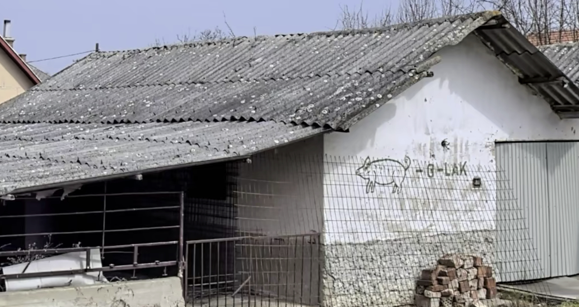 disznó-ó-lak